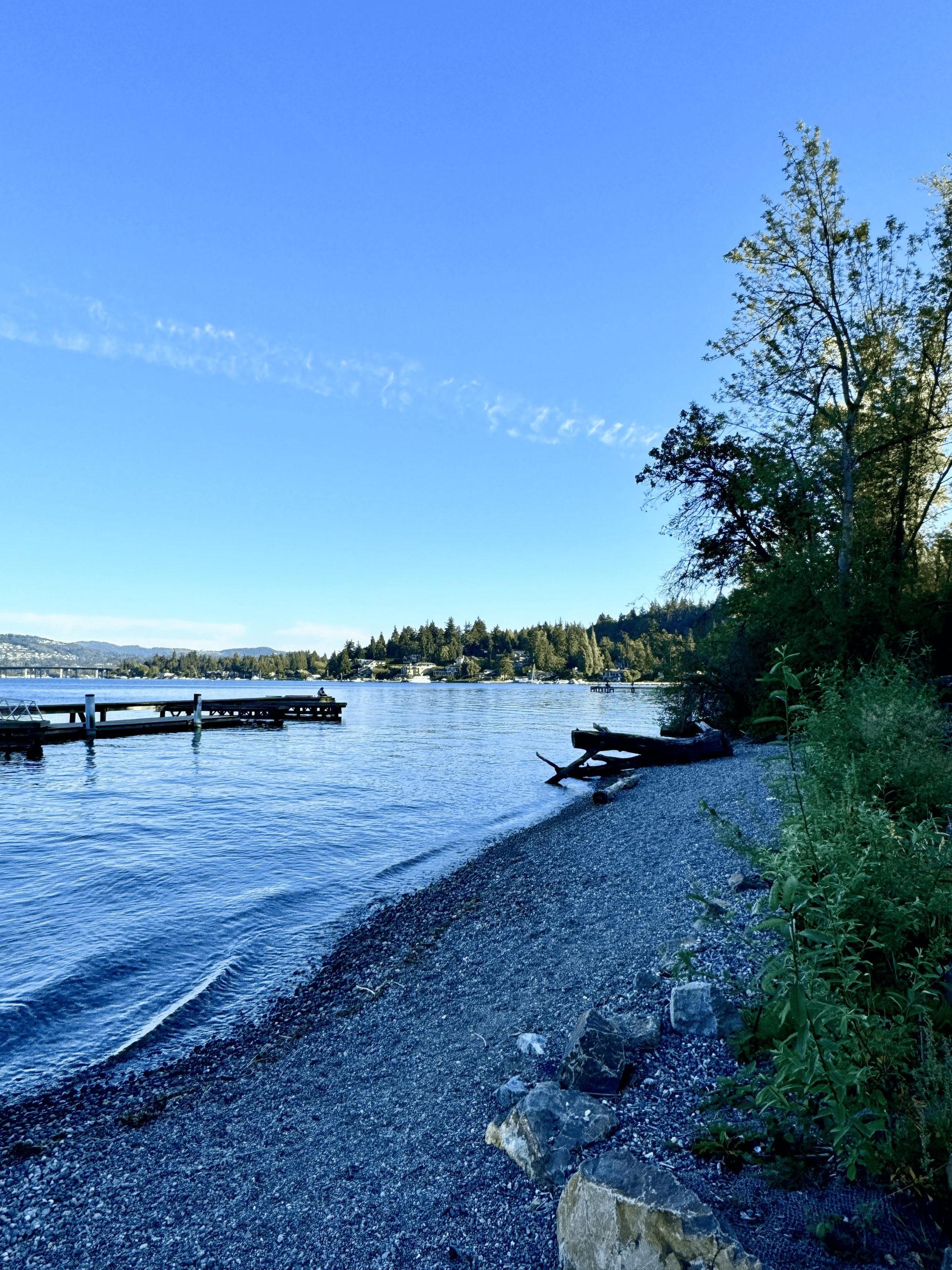 Mercer Island Beach