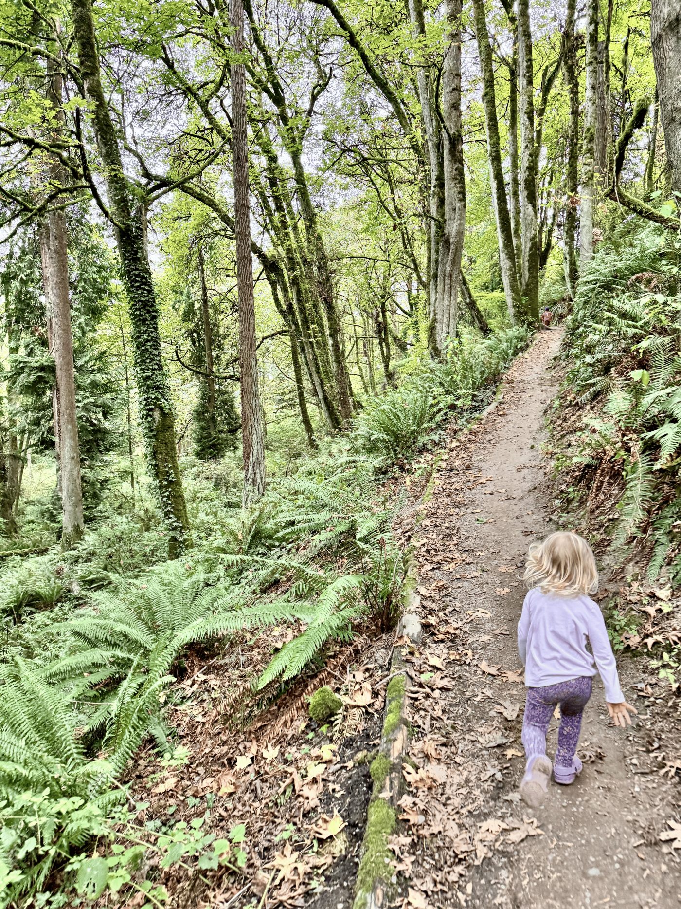 Mercer Island Trail