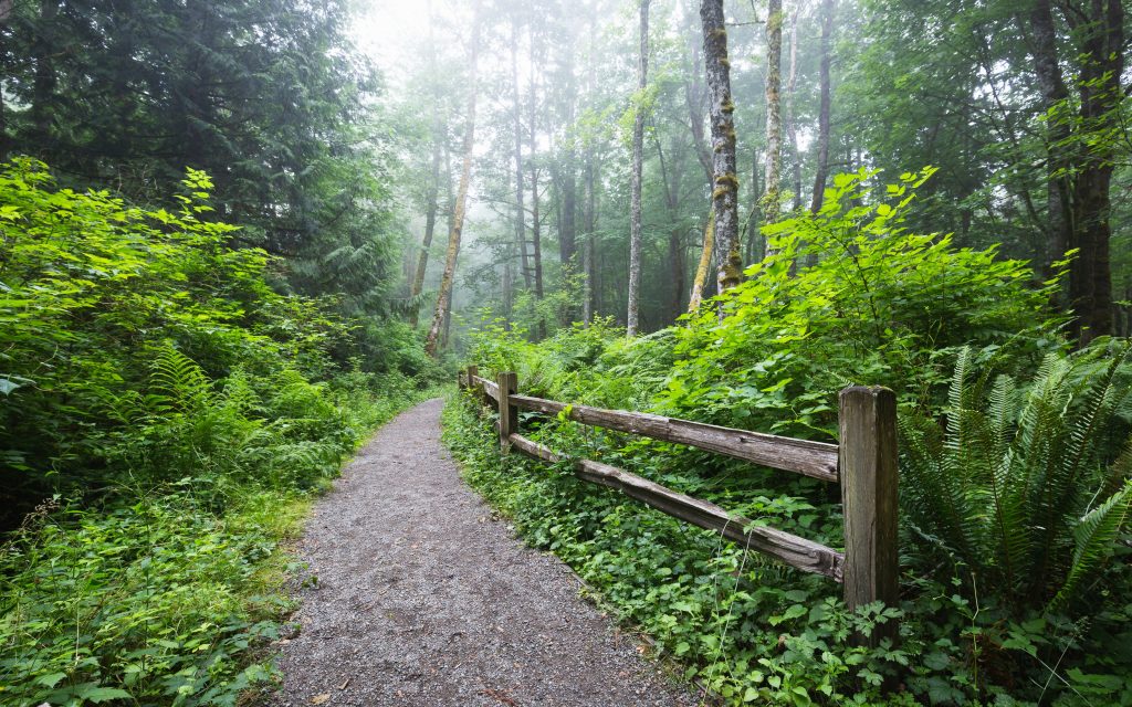 Tiger Mountain / Issaquah WA