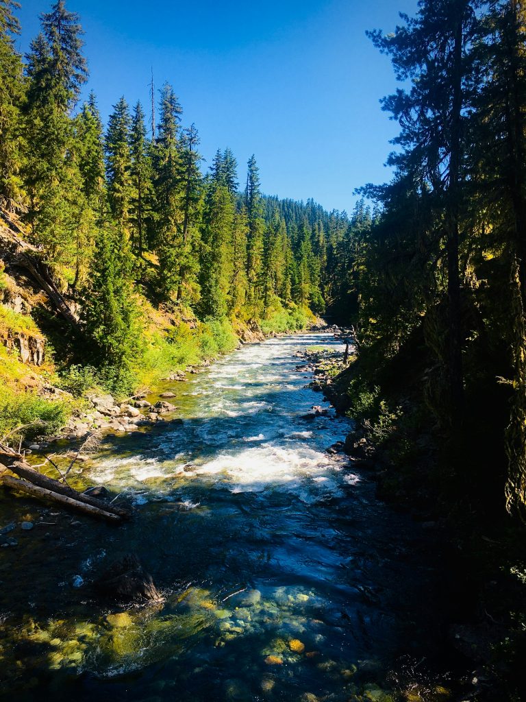 kevin-ishimwe-pvgIddDcMp4-unsplash